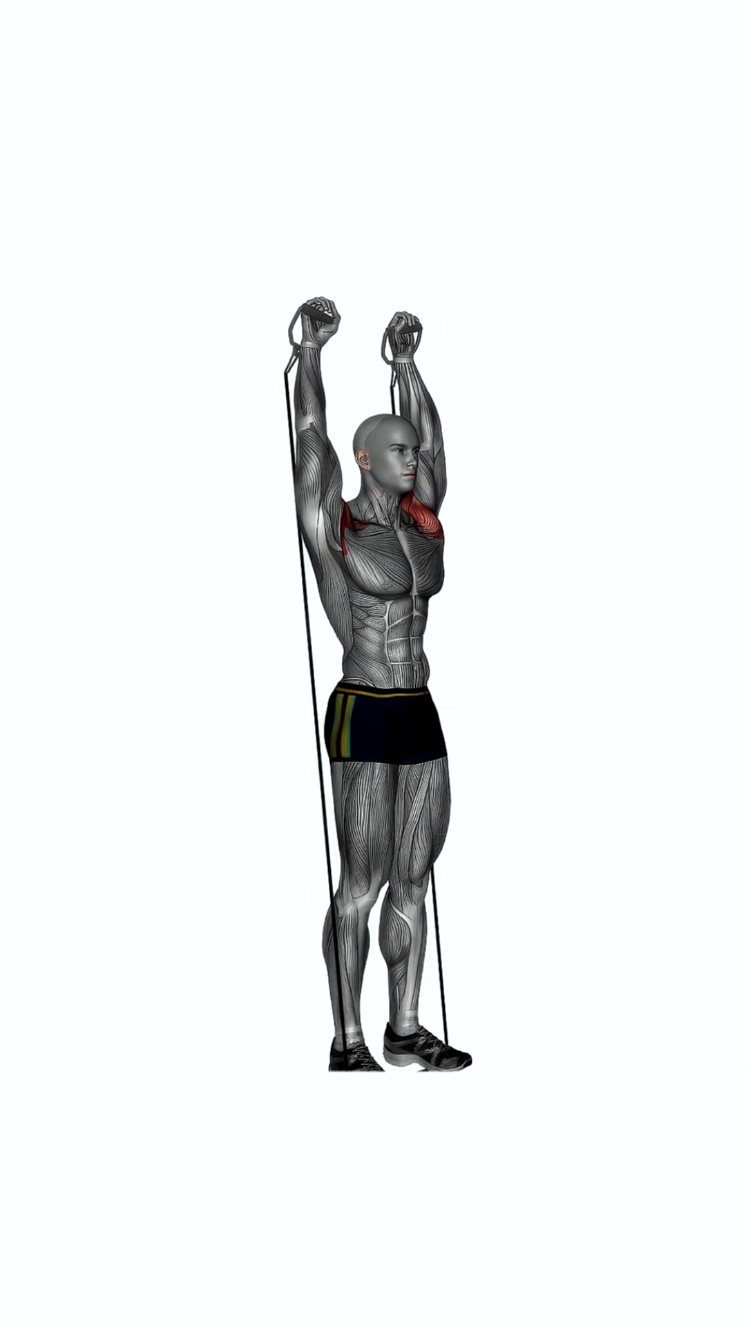 Arnold Press Cable Resistance Band Standing