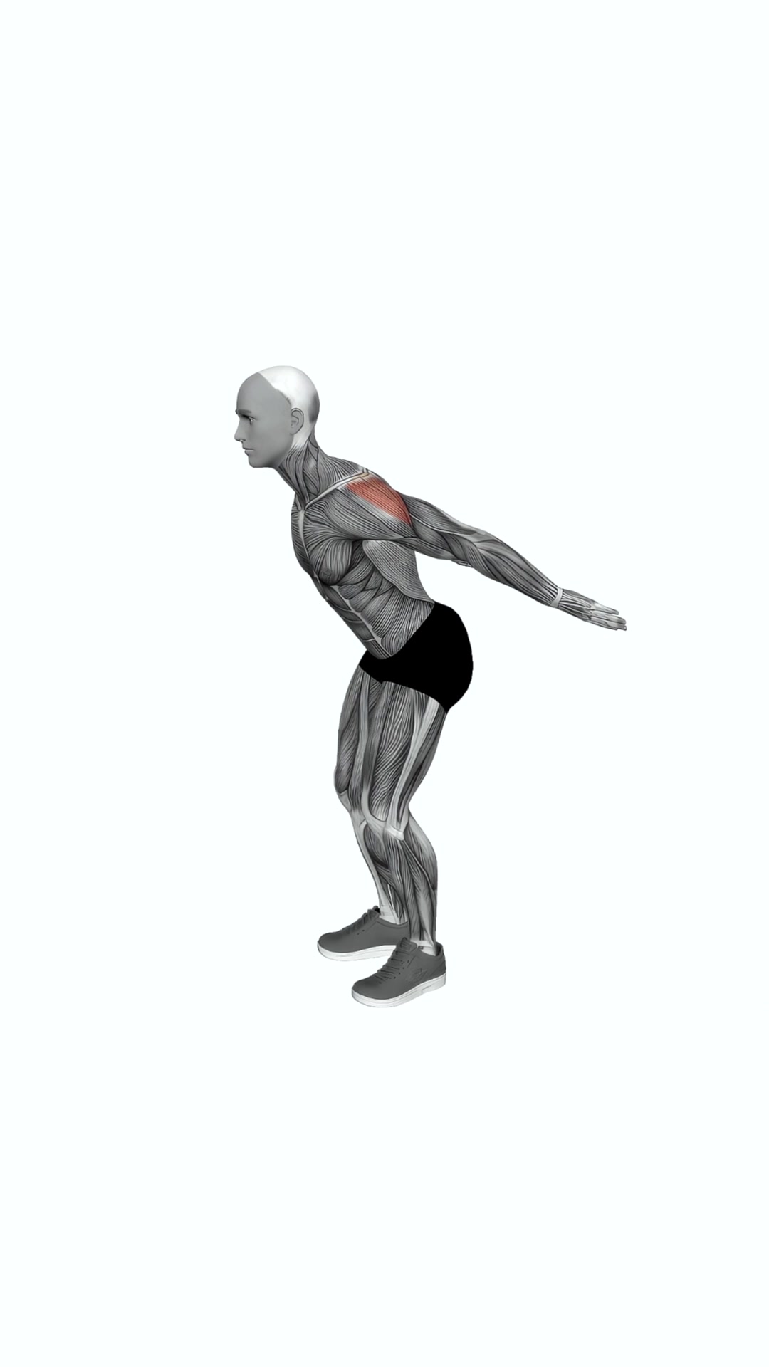 Backhand Raise