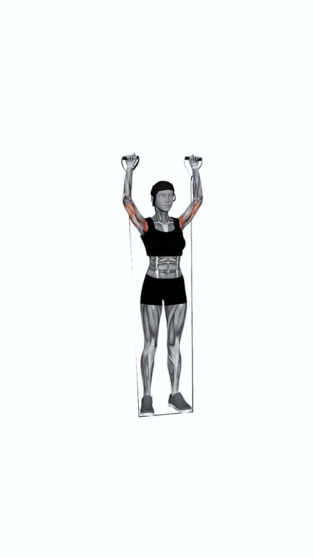 Band Behind Neck Shoulder Press