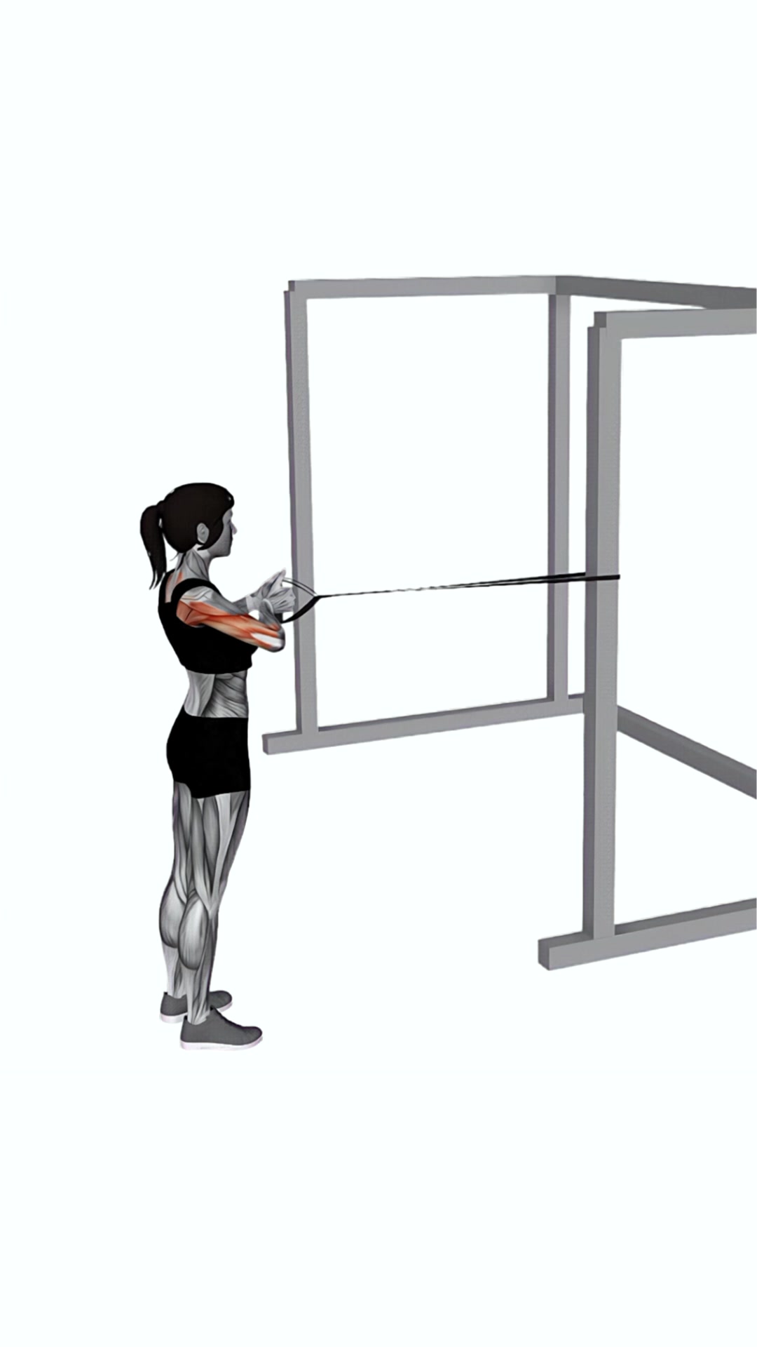 Band Close Grip Row