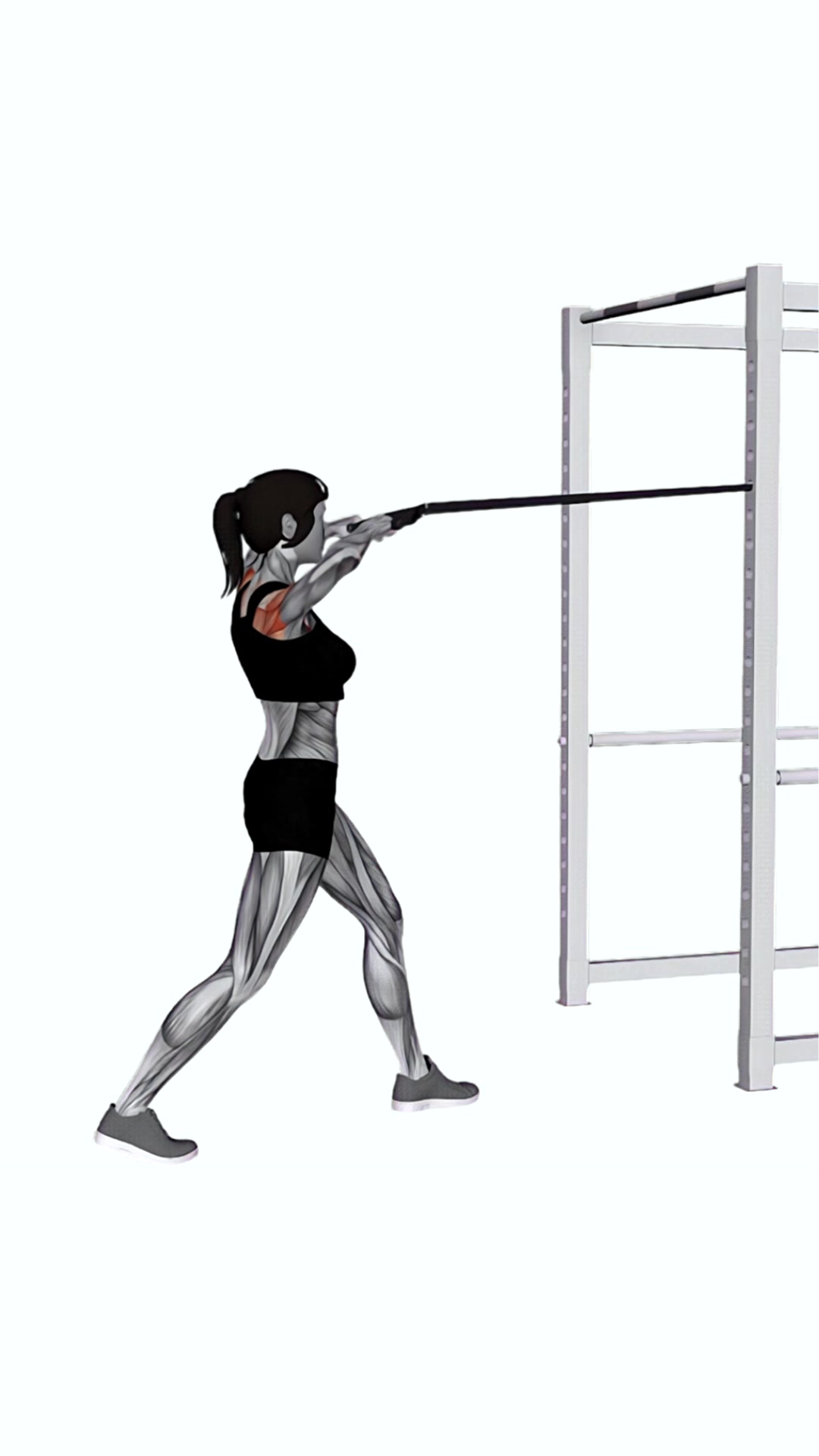 Band Front Face Pull