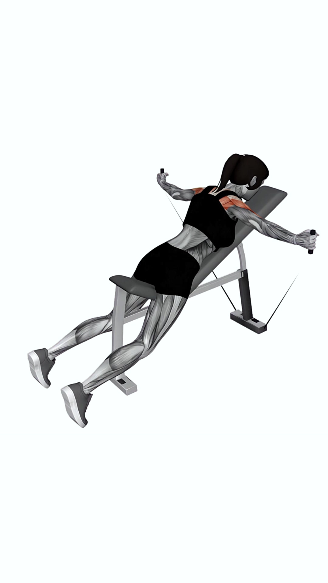 Band Incline T Raise