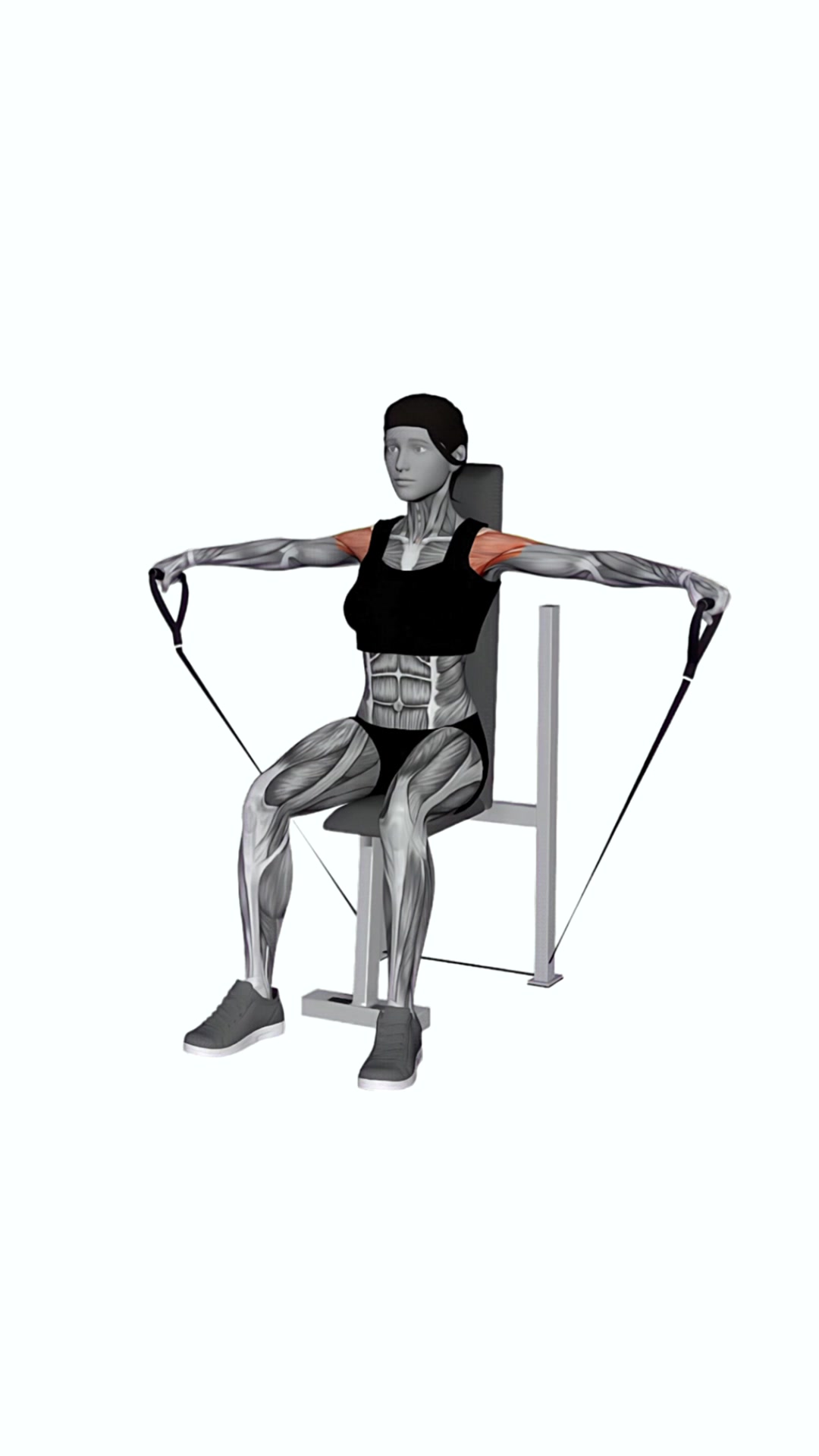 Band Seated Lateral Raise