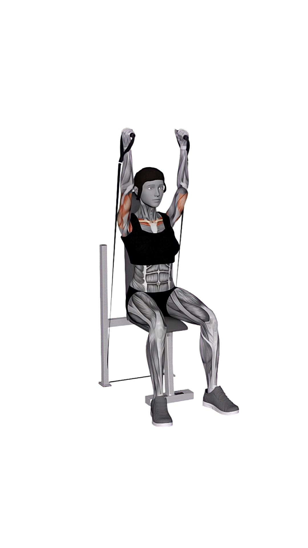 Band Seated Neutral Grip Shoulders Press