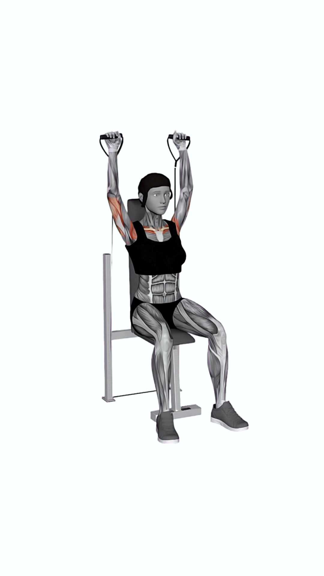 Band Seated Shoulder Press