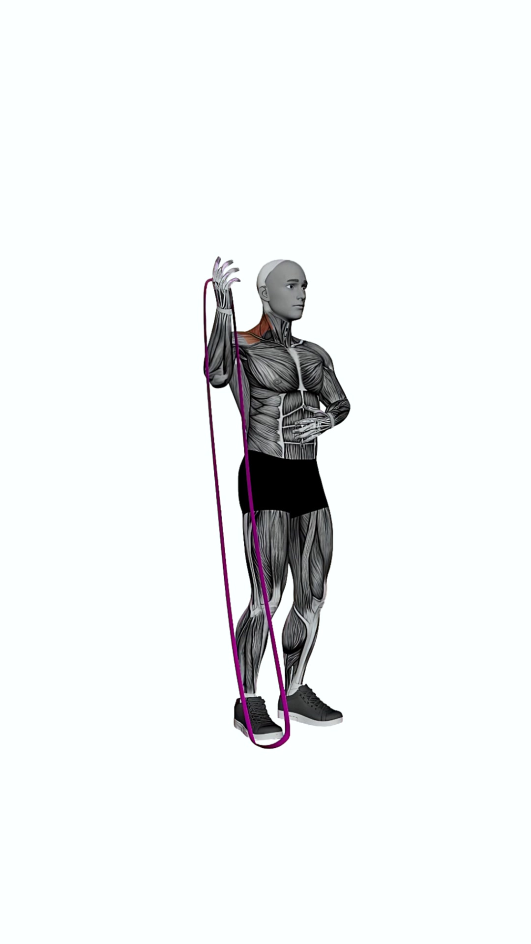 Band Single Arm Overhead Press