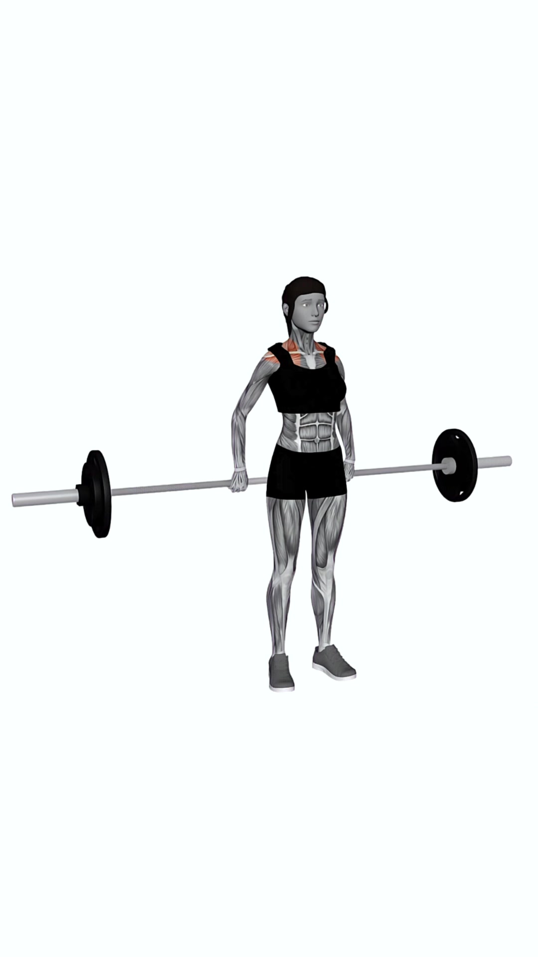 Barbell Back Wide Shrug