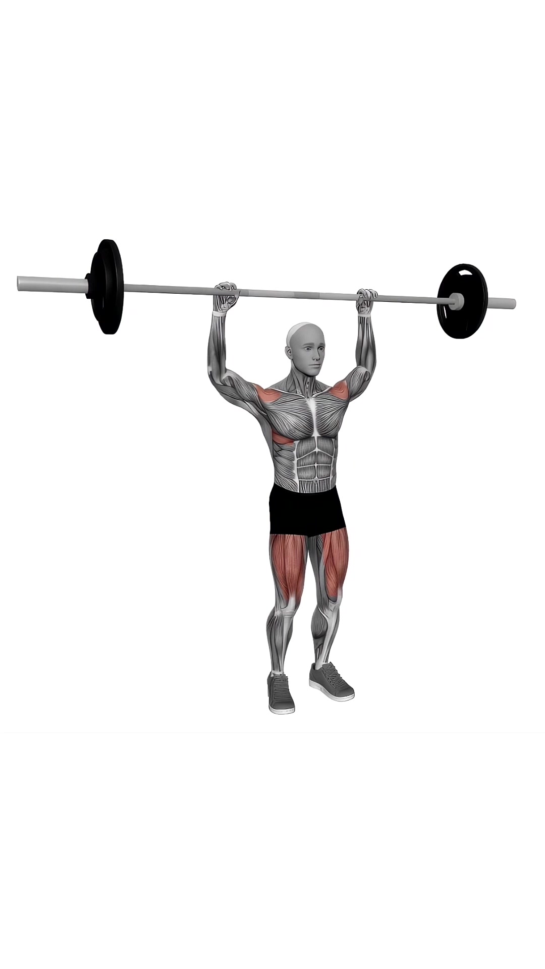 Barbell Behind Neck Push Press