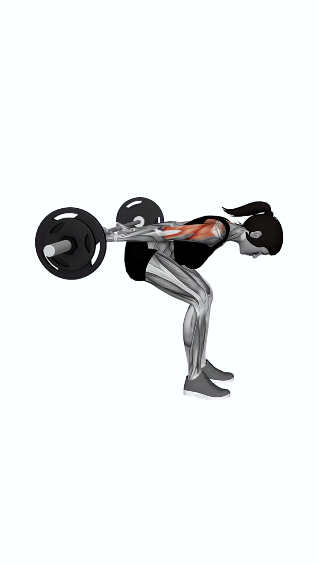 Barbell Bent Over Reverse Raise (skier)
