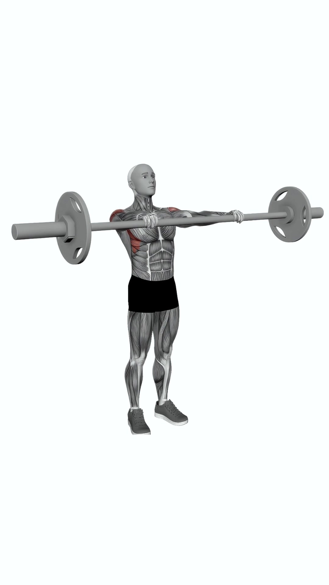 Barbell Front Raise
