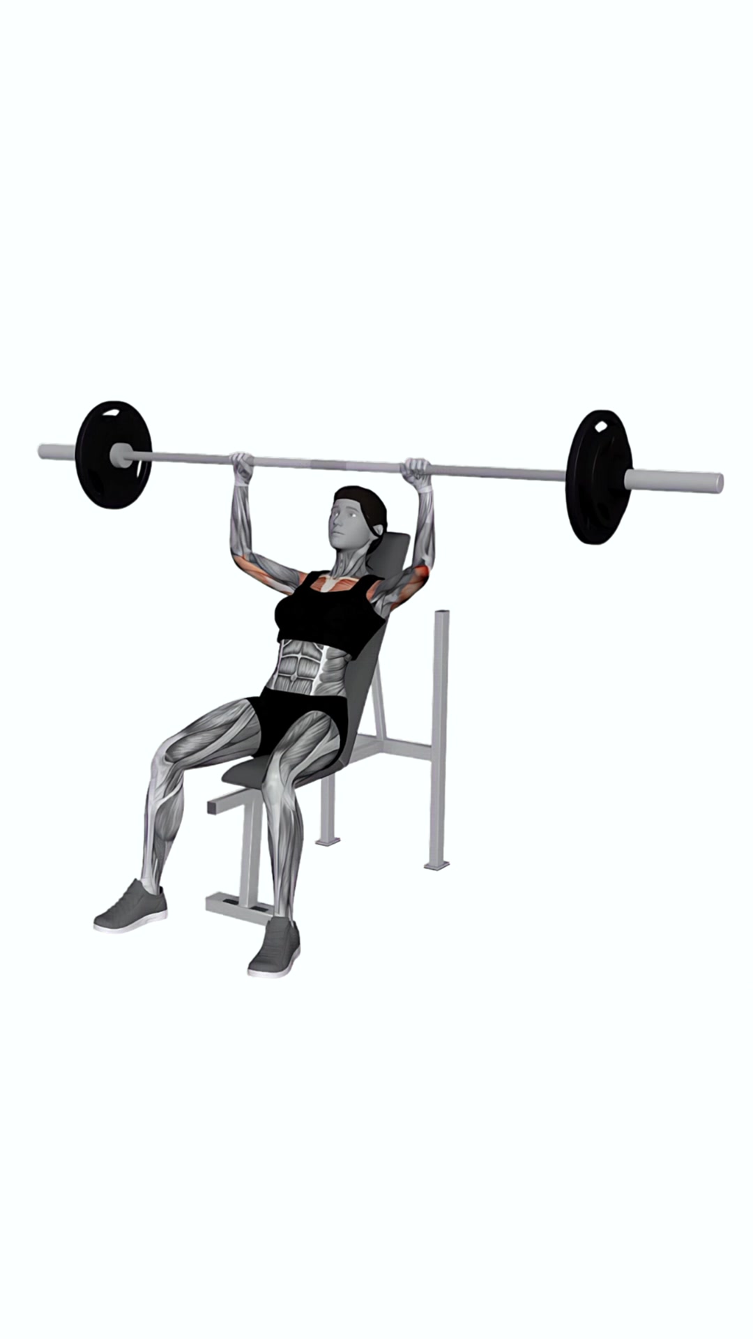 Barbell Incline Shoulders Press