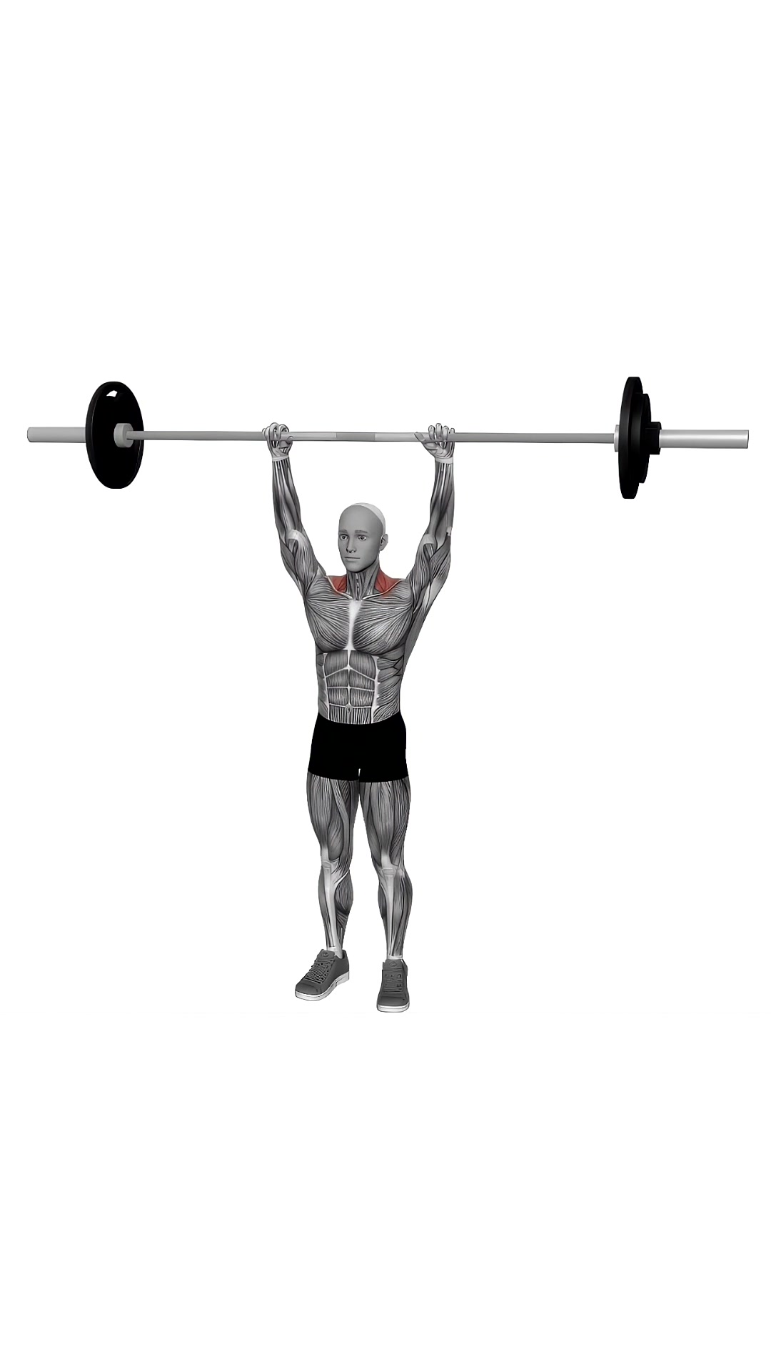 Barbell Overhead Shrug