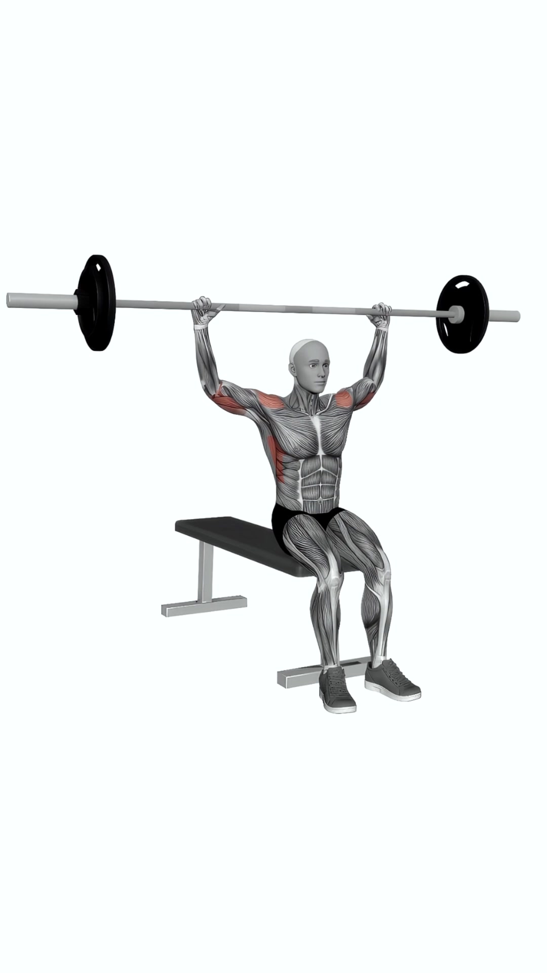 Barbell Seated Behind Neck Military Press