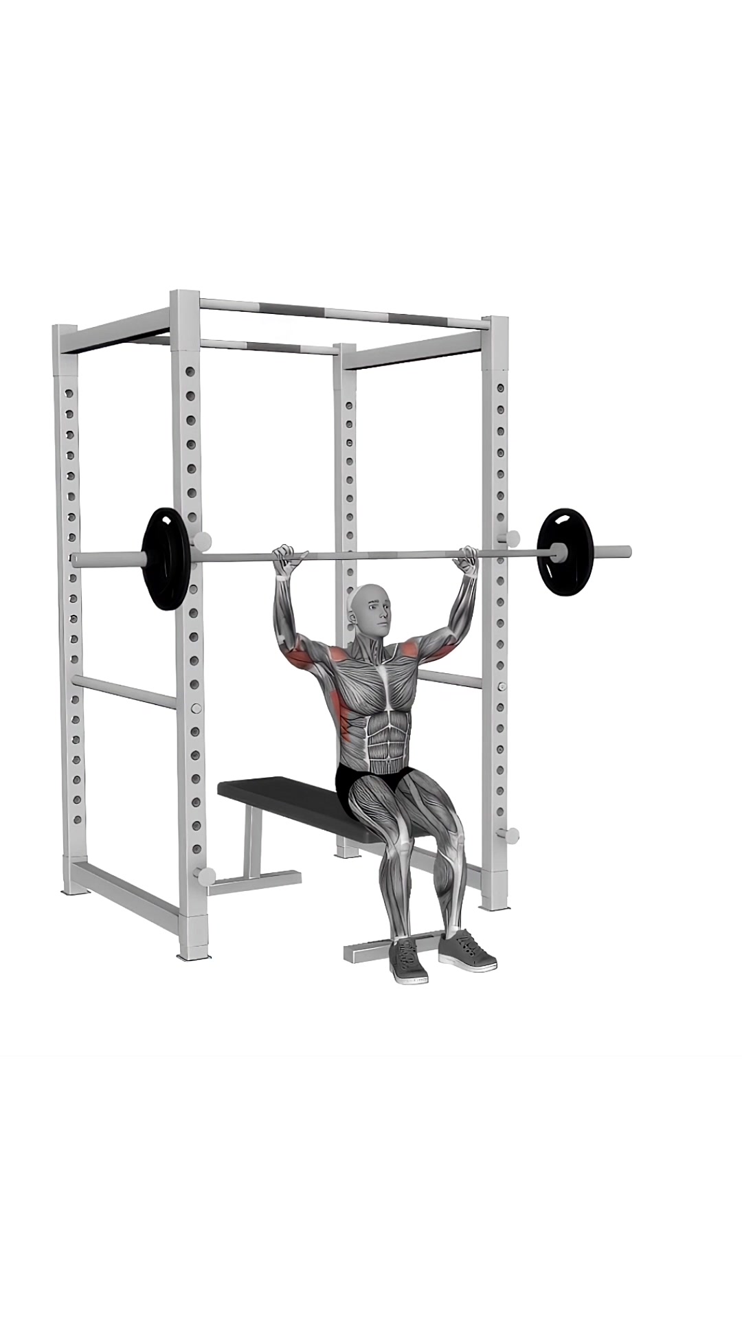 Barbell Seated Military Press