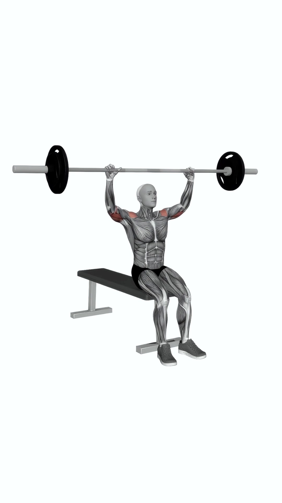 Barbell Seated Overhead Press