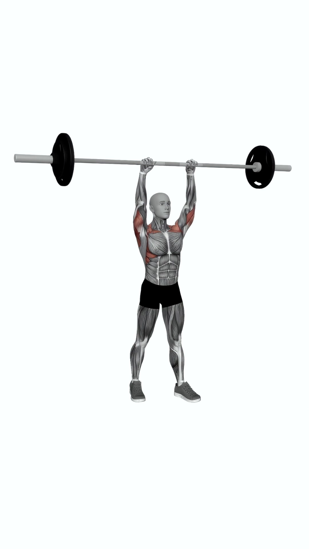 Barbell Standing Close Grip Military Press