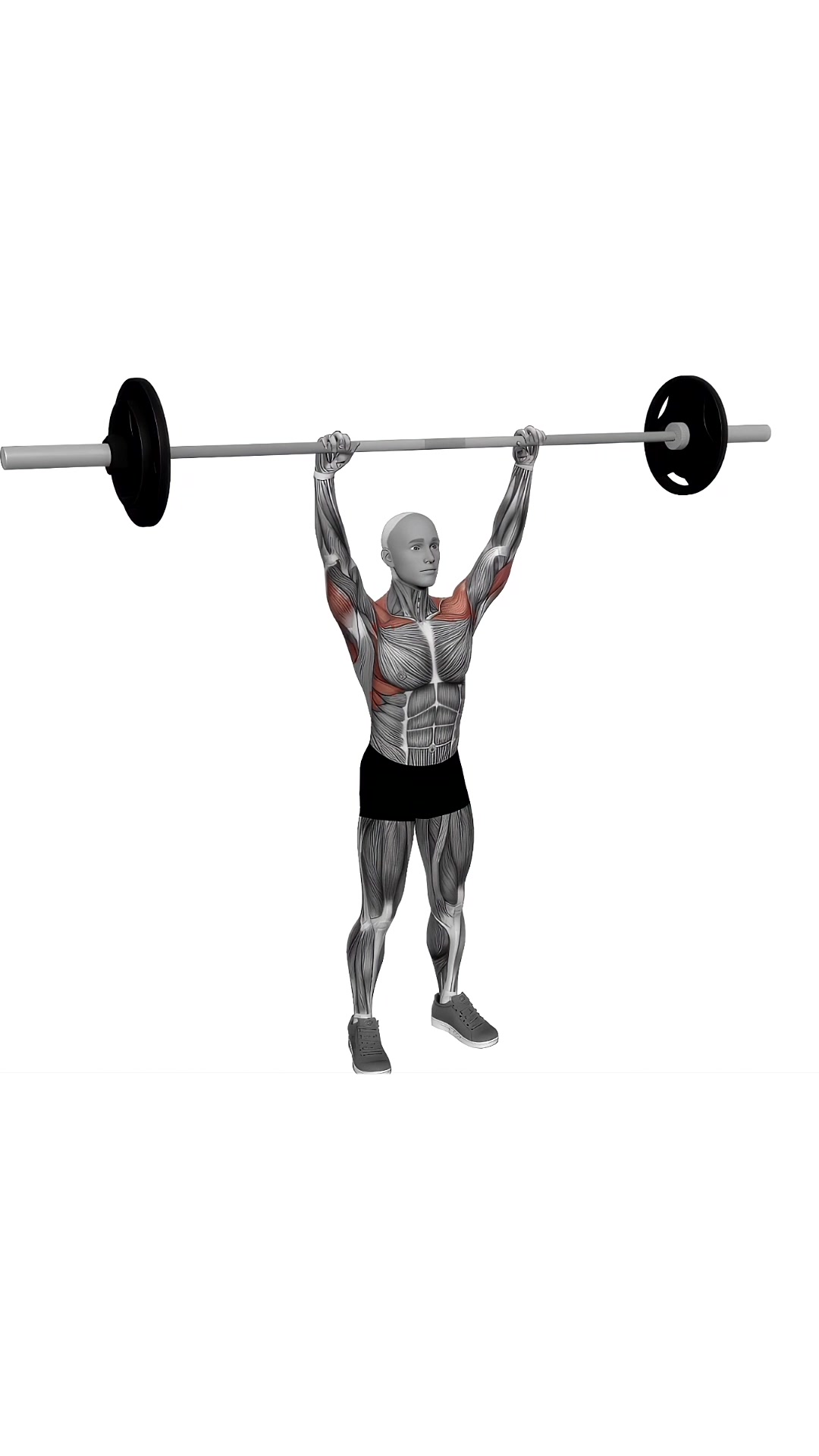 Barbell Standing Shoulder Press