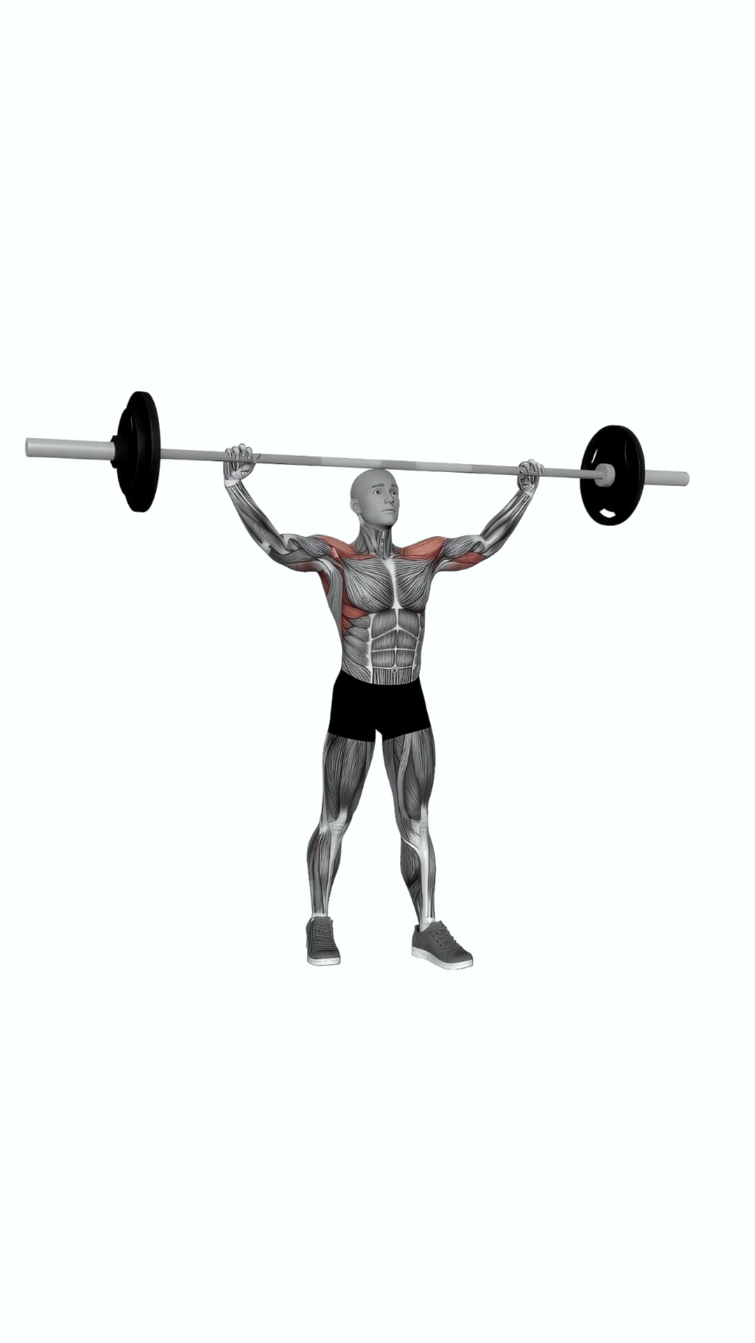 Barbell Standing Wide Grip Military Press