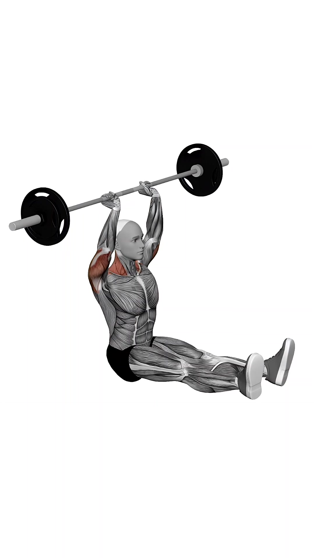 Barbell Z Press