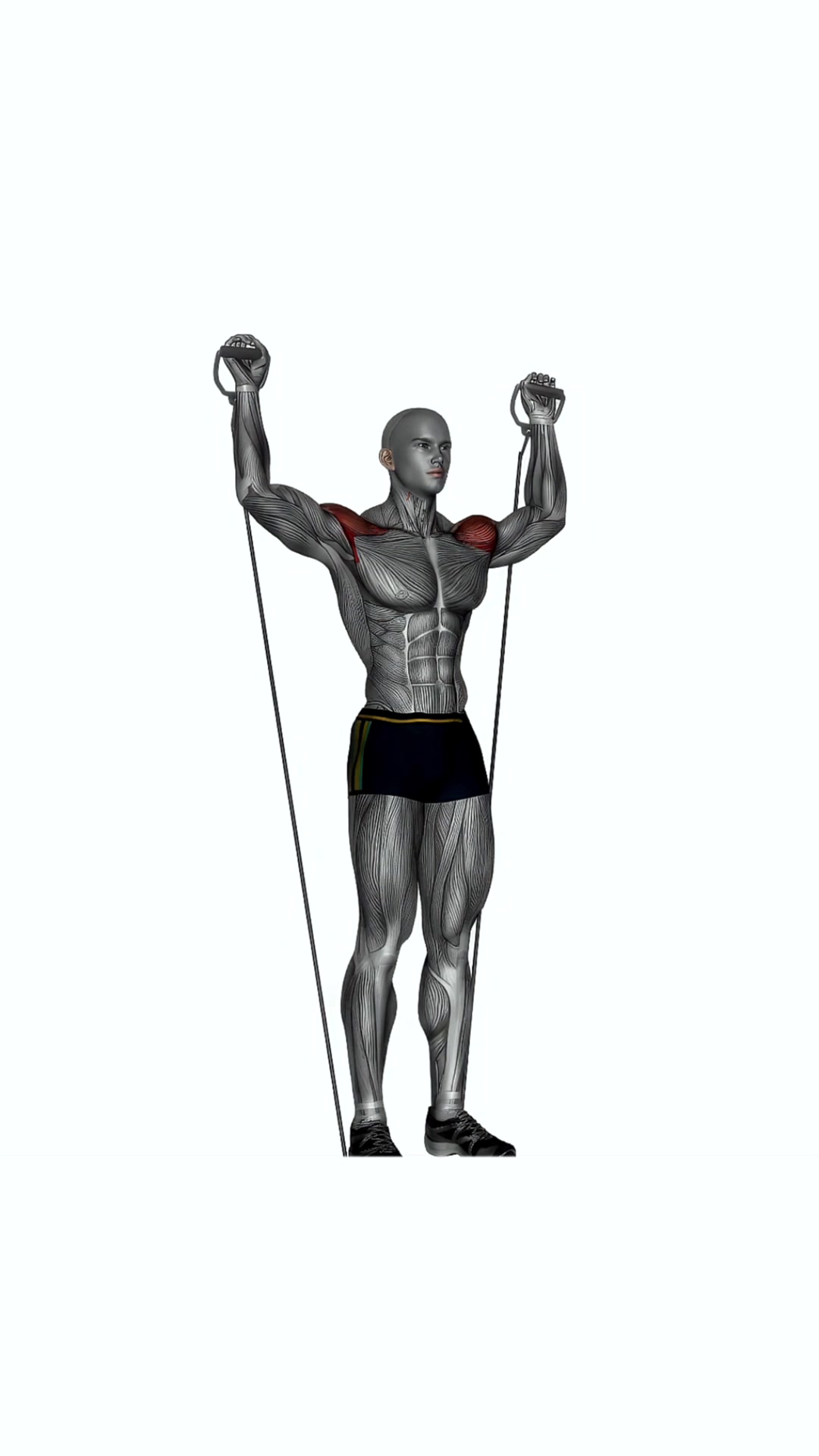 Behind Neck Press Resistance Band Cable
