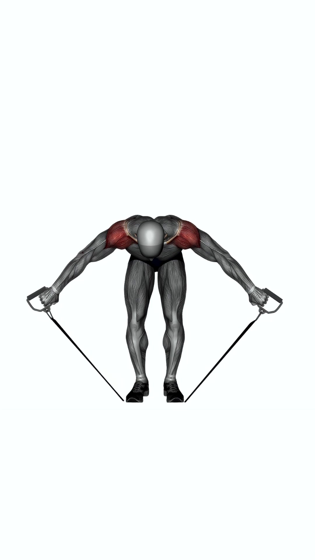 Bent Over Rear Deltoid Fly Resistance Band