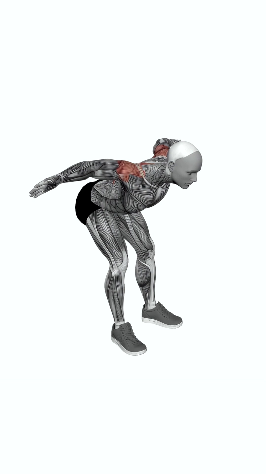 Bodyweight Bent Over Rear Delt Fly