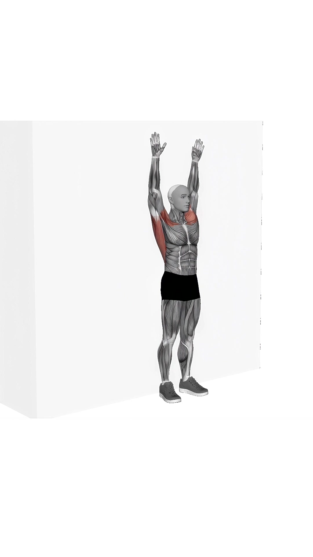 Bodyweight Standing Around World Wall Supported