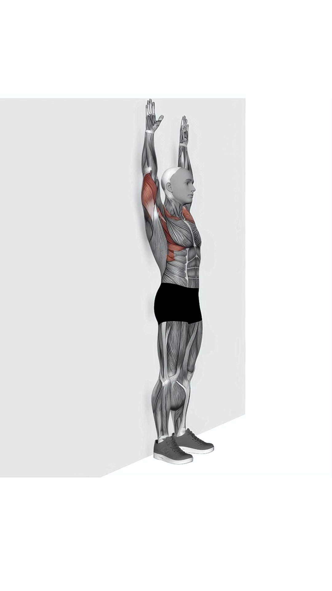 Bodyweight Standing Military Press Wall Supported