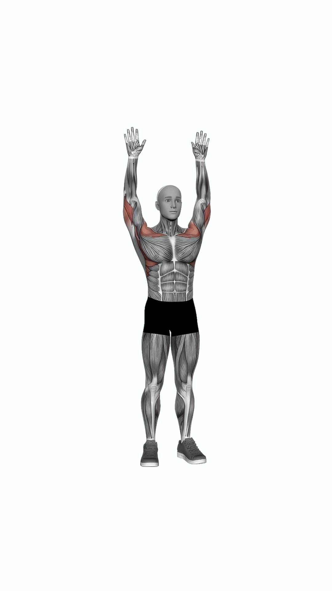 Bodyweight Standing Military Press