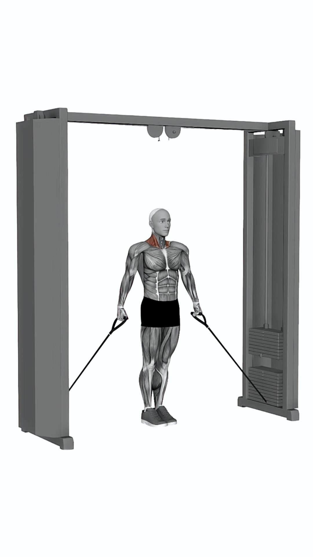 Cable 30 Degree Shrug