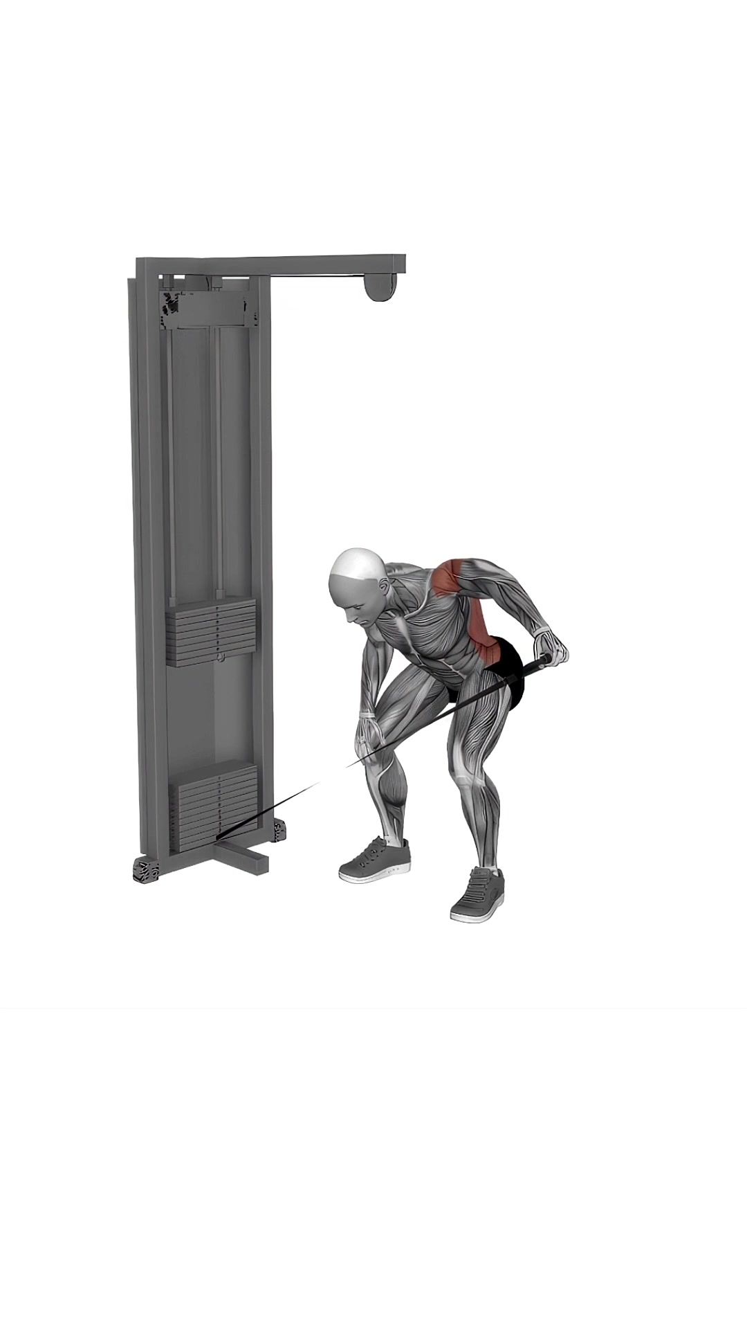 Cable Bent Over One Arm Lateral Raise