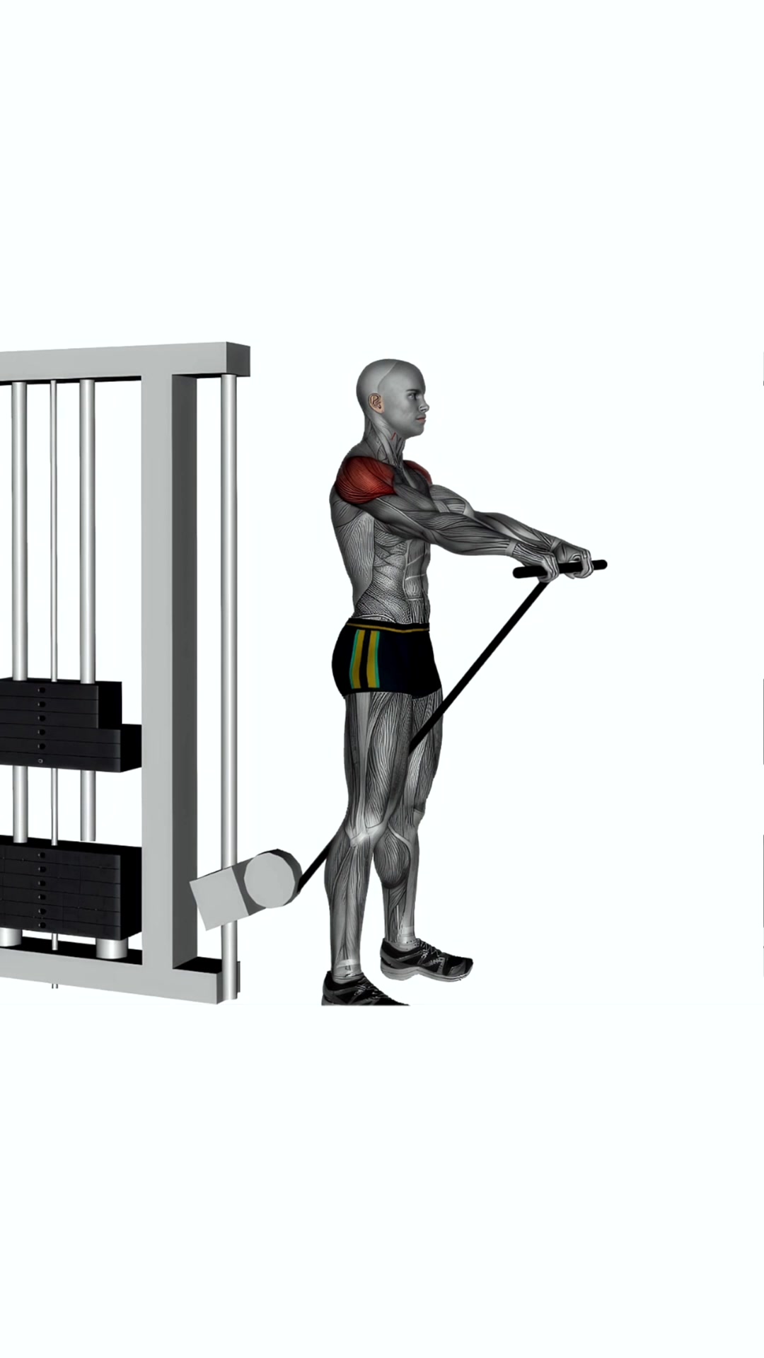 Cable Front Raises Straight Bar
