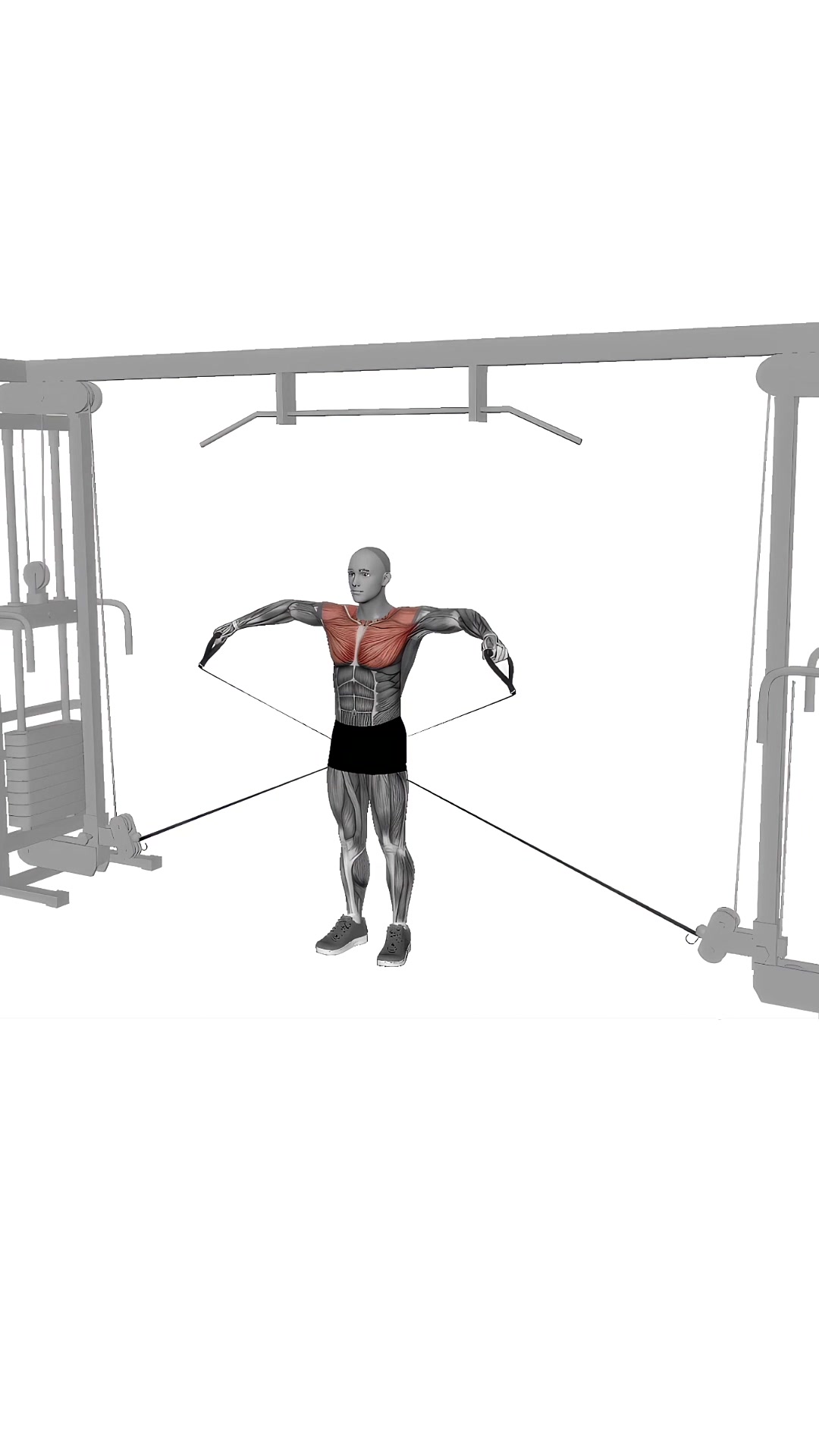 Cable Lateral Raises