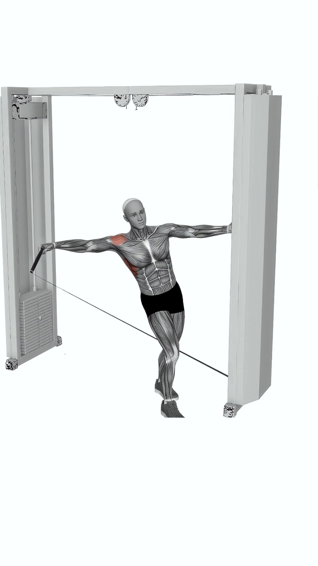 Cable Leaning Lateral Raise