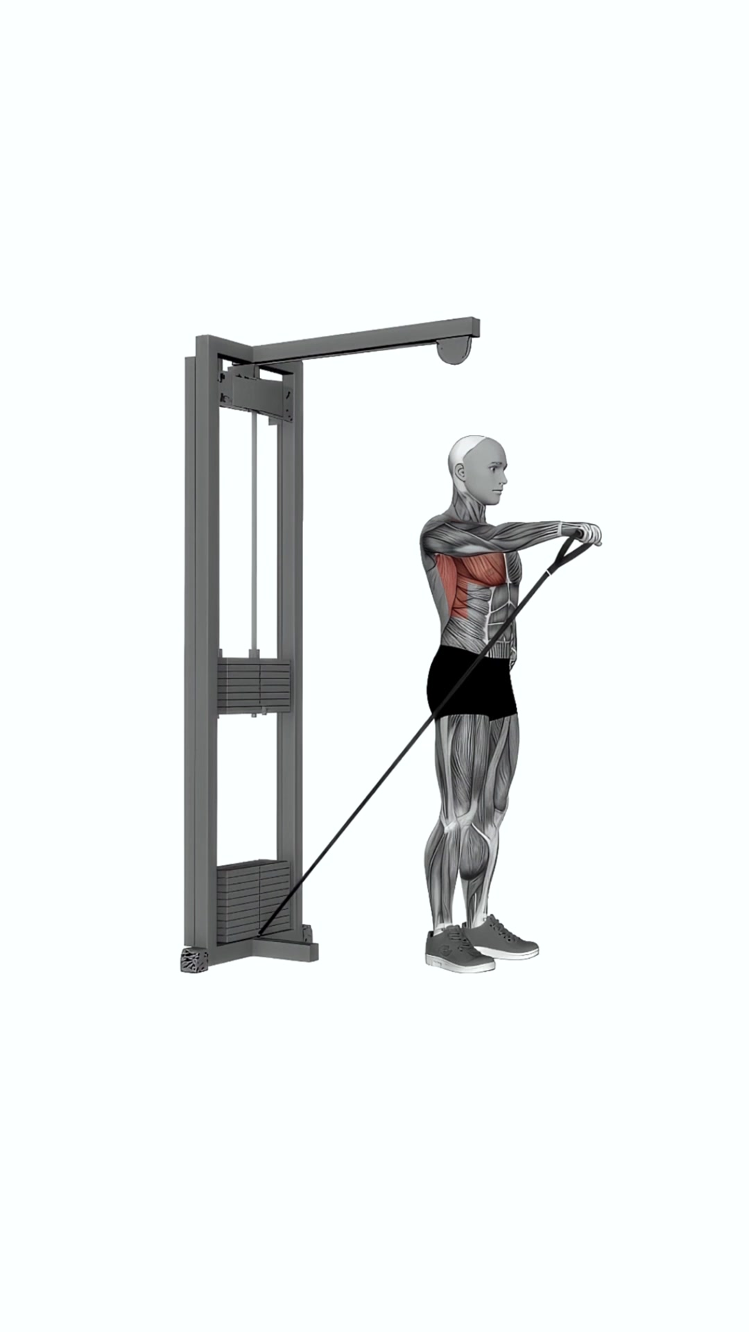 Cable One Arm Front Raise