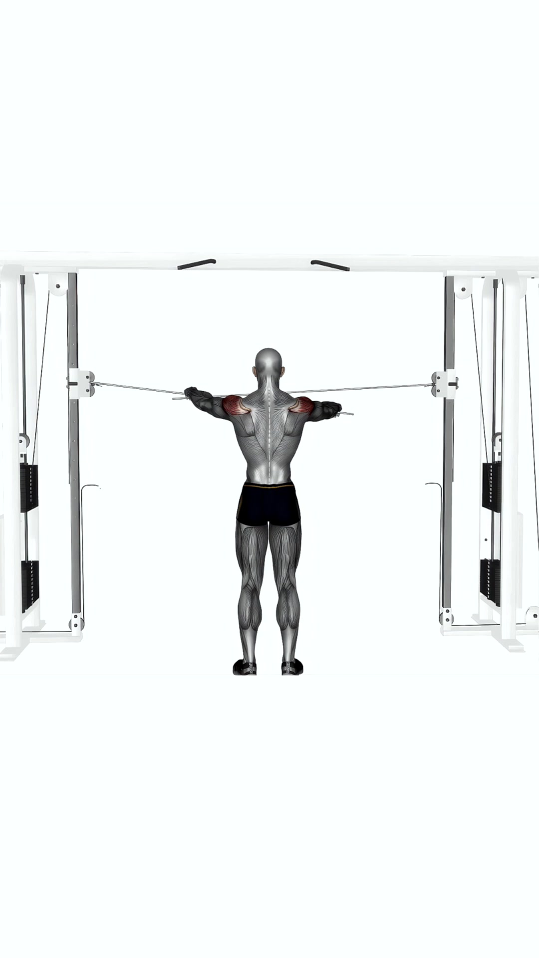 Cable Rear Delt Fly