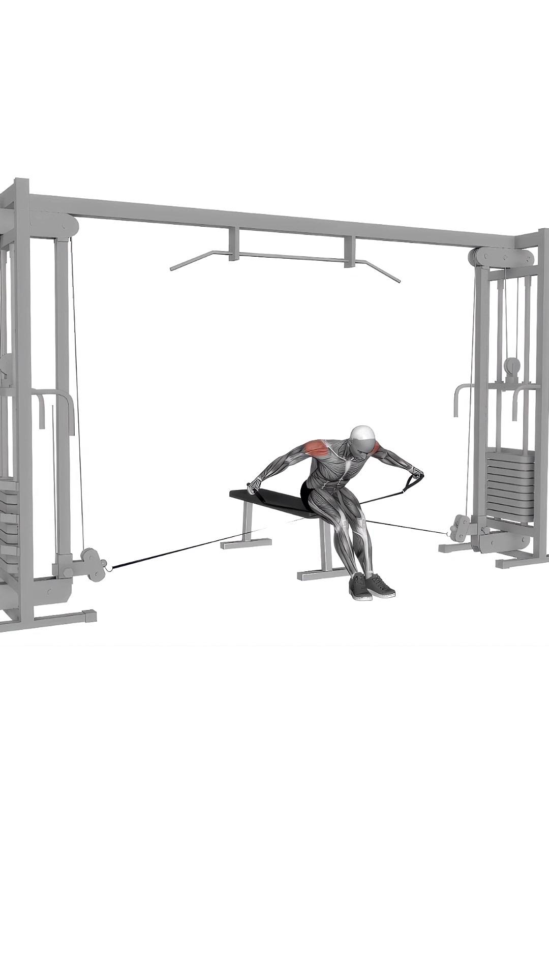 Cable Seated Rear Lateral Raise