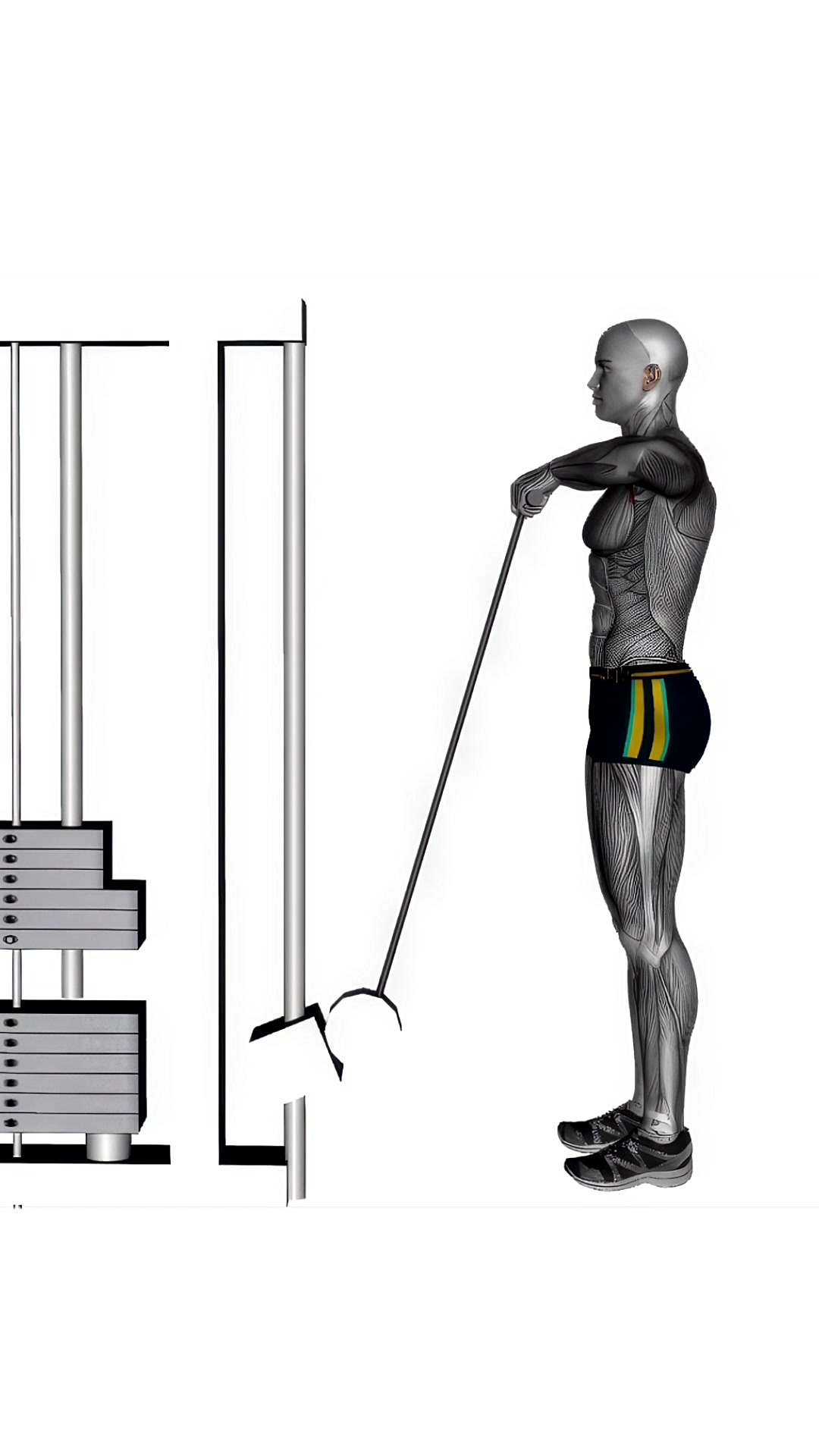 Cable Upright Row With Straight Bar