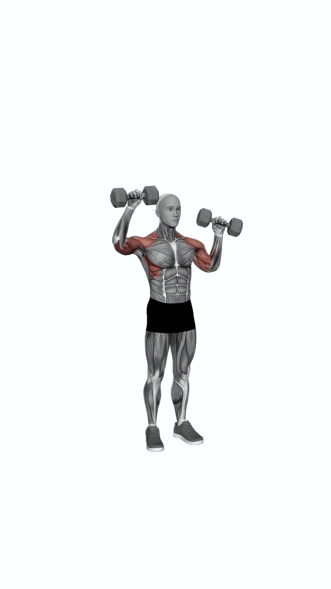 Dumbbell Alternate Shoulder Press