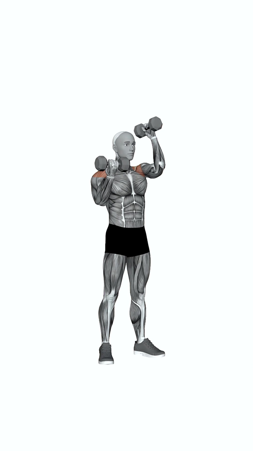 Dumbbell Alternating Arnold Press