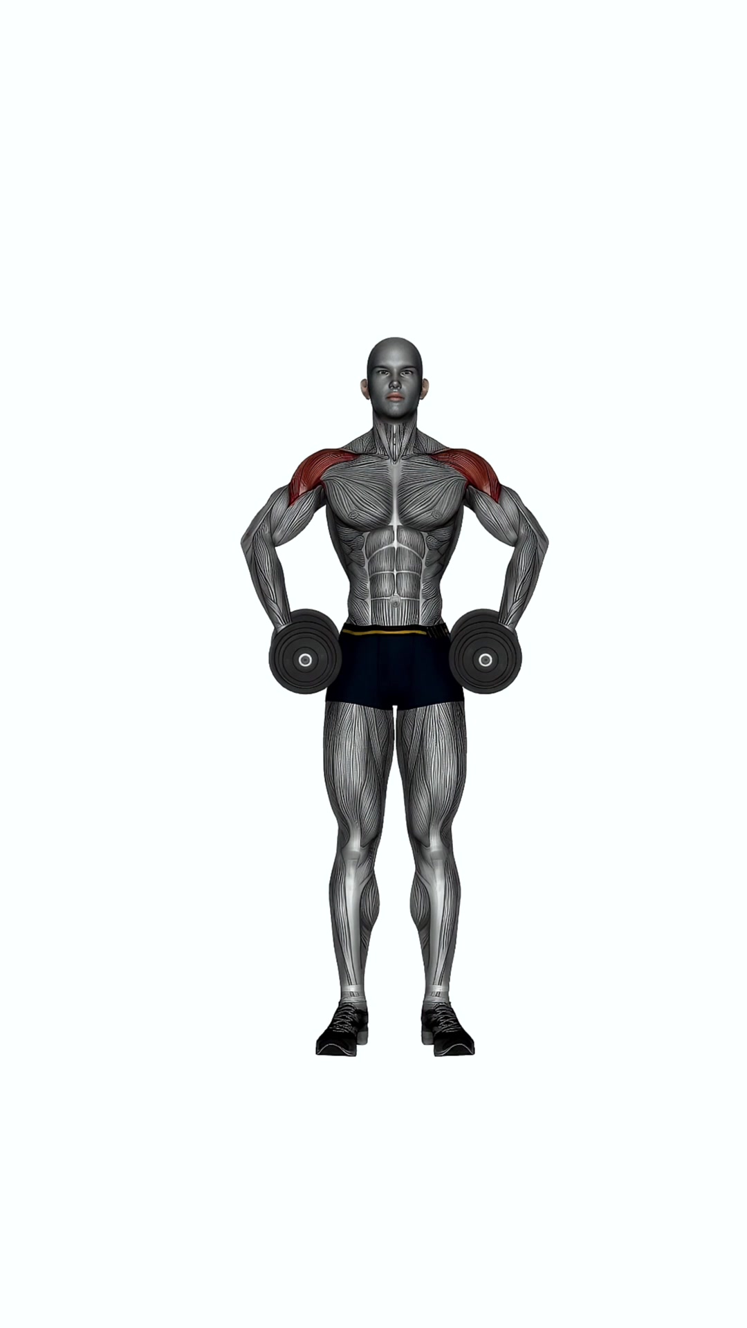 Dumbbell Armpit Row
