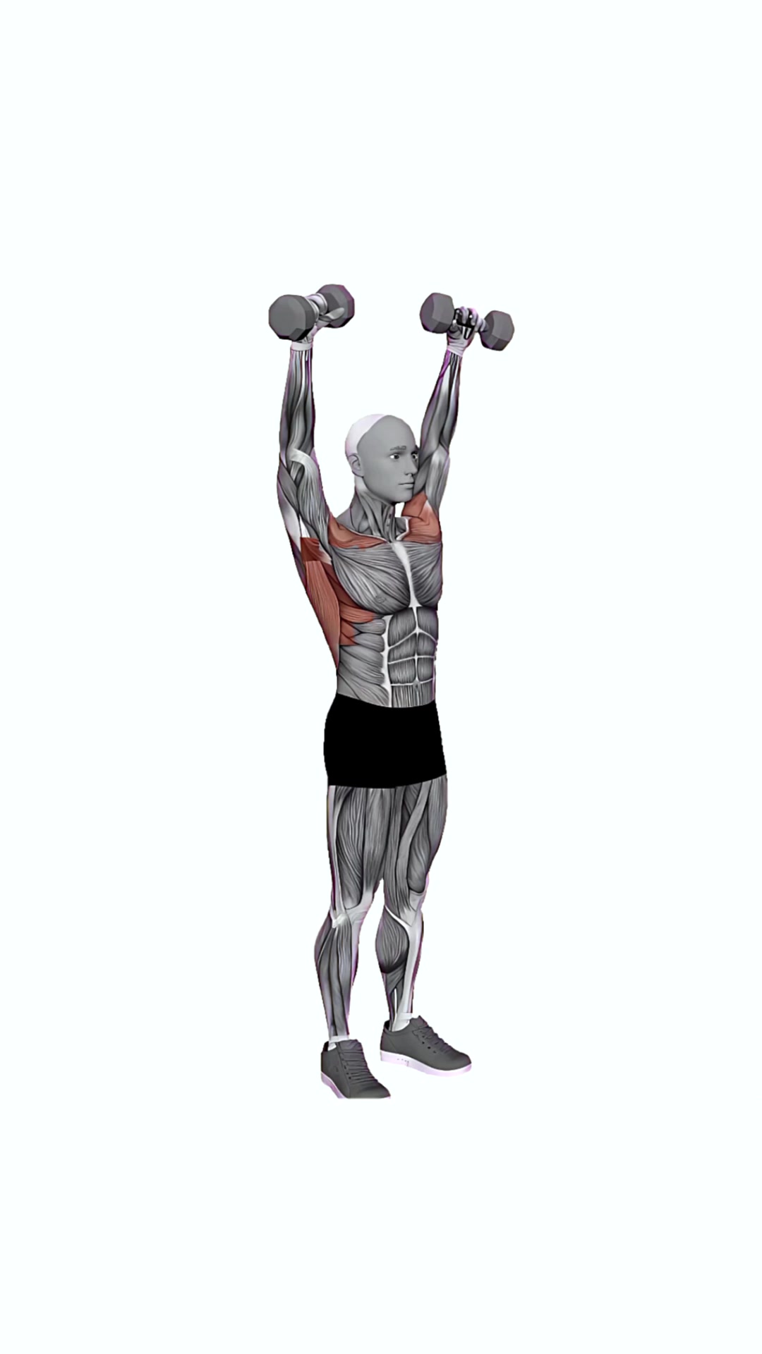 Dumbbell Around The World