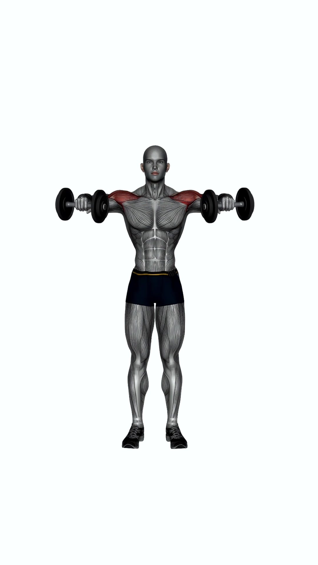 Dumbbell Bent Arm Lateral Raise