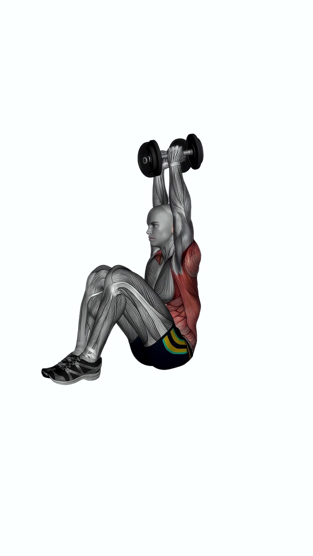 Dumbbell Close Grip Shoulder Press Sit Up
