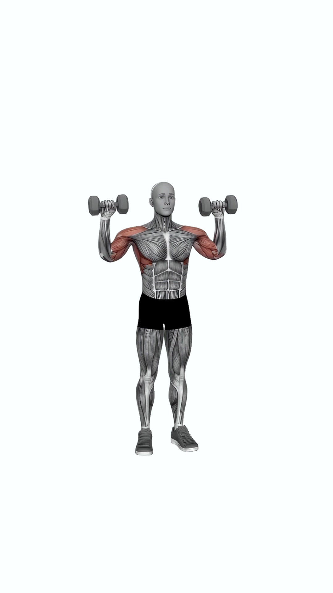 Dumbbell Cuban Press (version 2)
