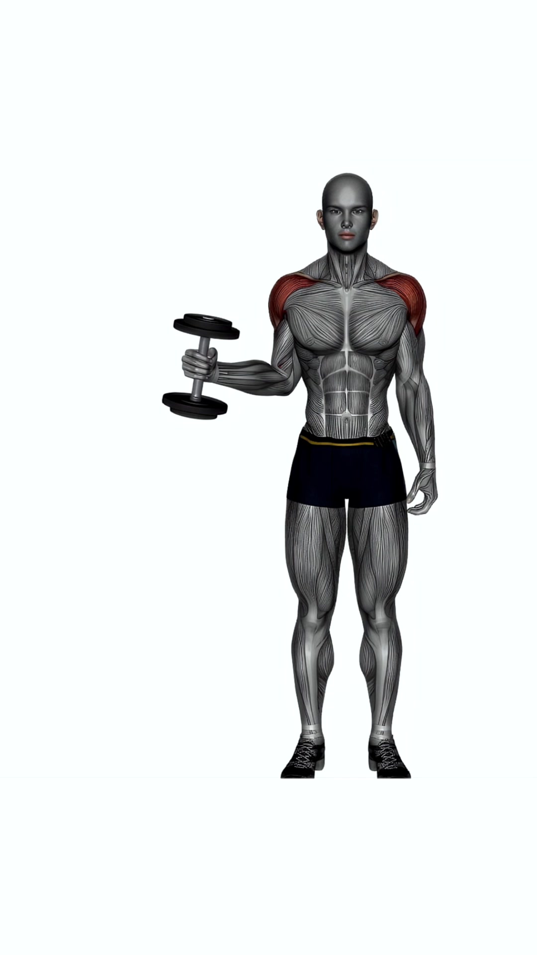 Dumbbell External Rotatio