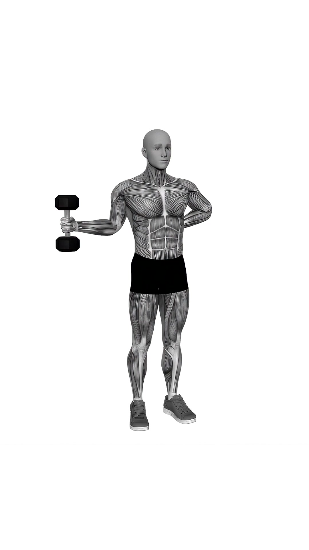 Dumbbell External Rotation