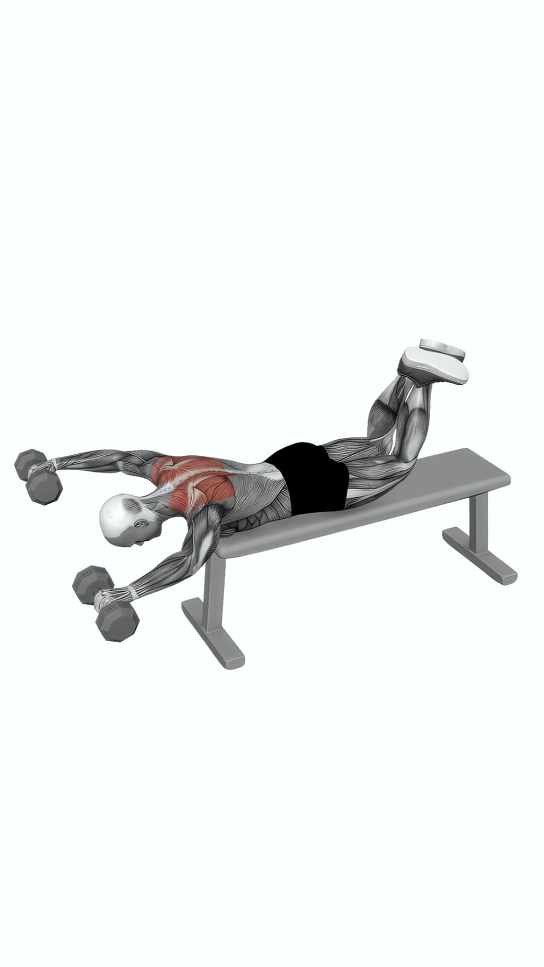 Dumbbell Face Down Lying Shoulder Press