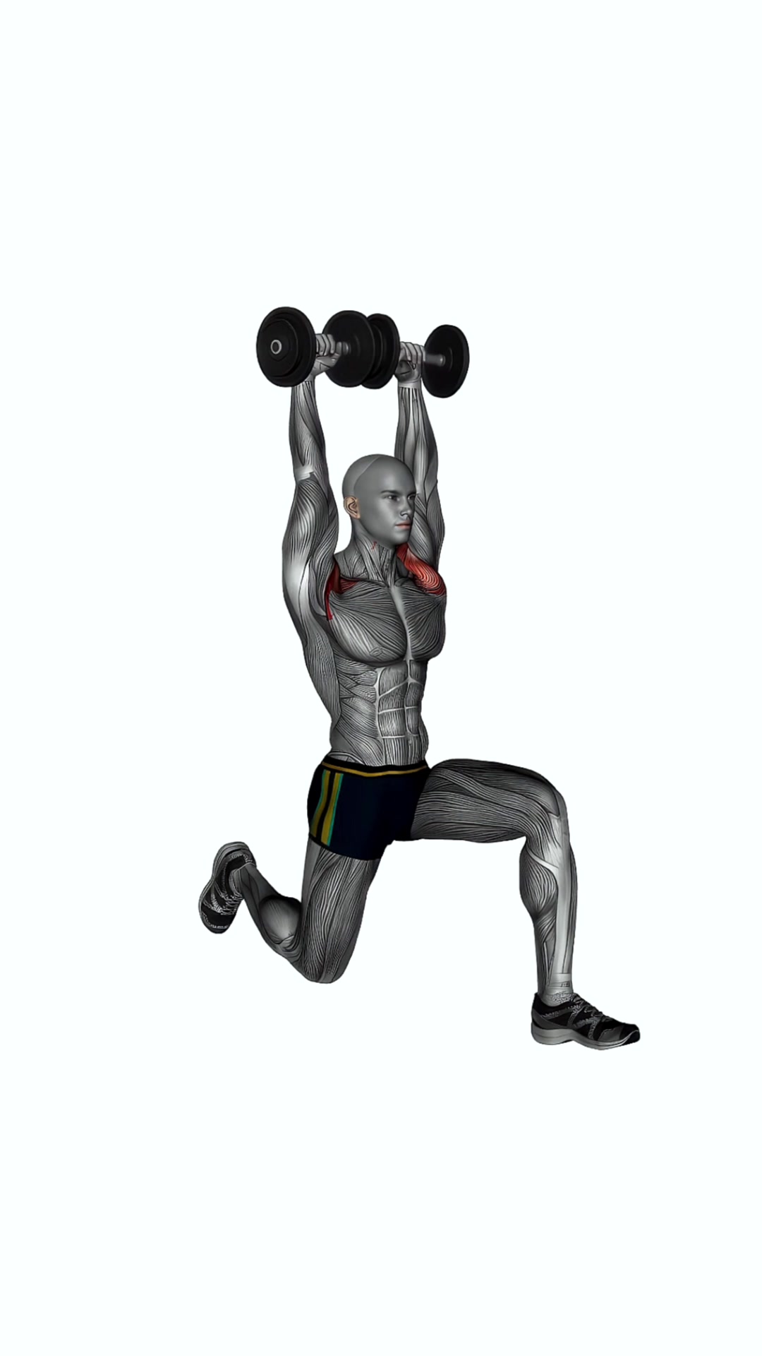 Dumbbell Half Kneeling Military Press