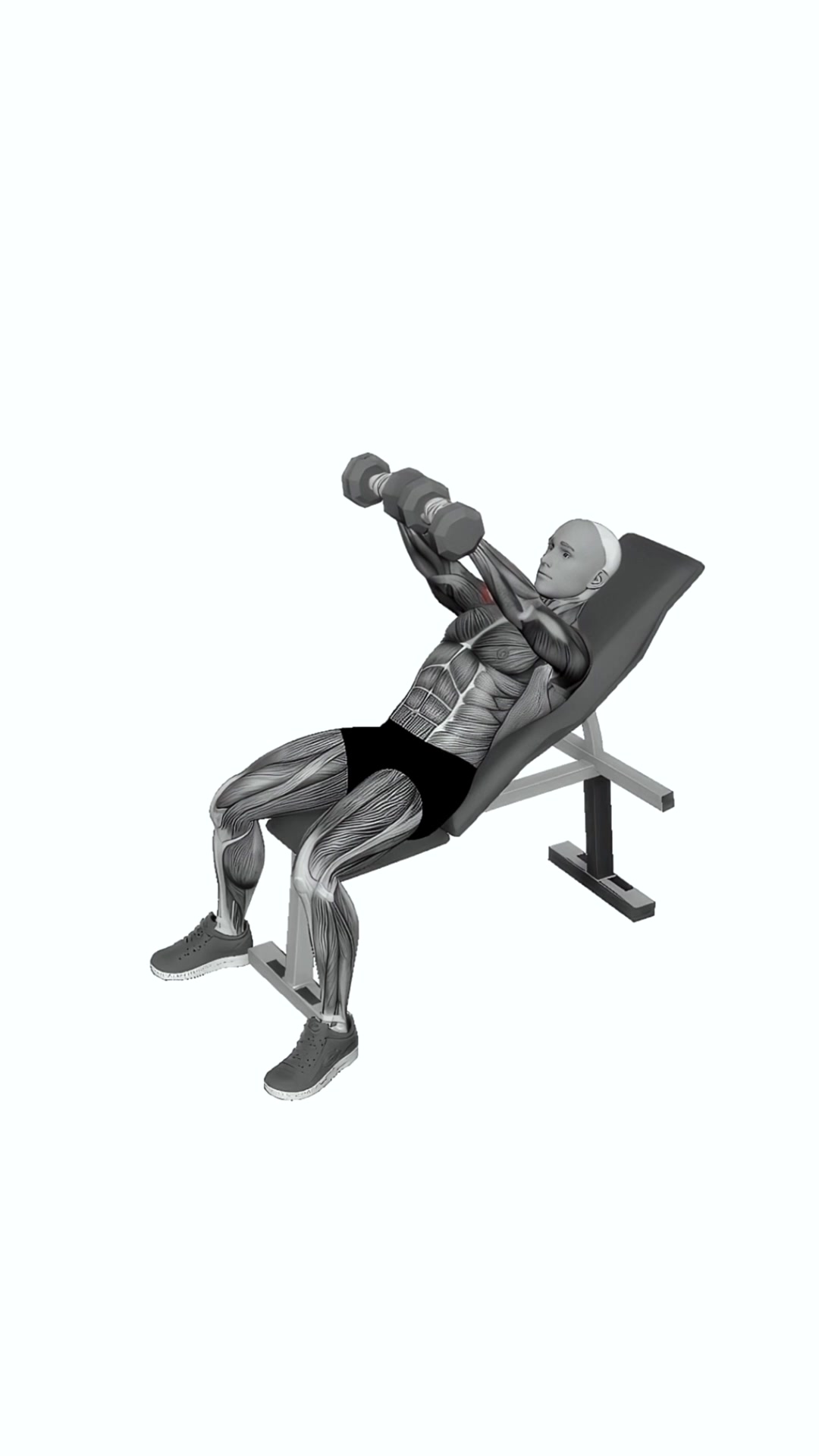 Dumbbell Incline Front Raise